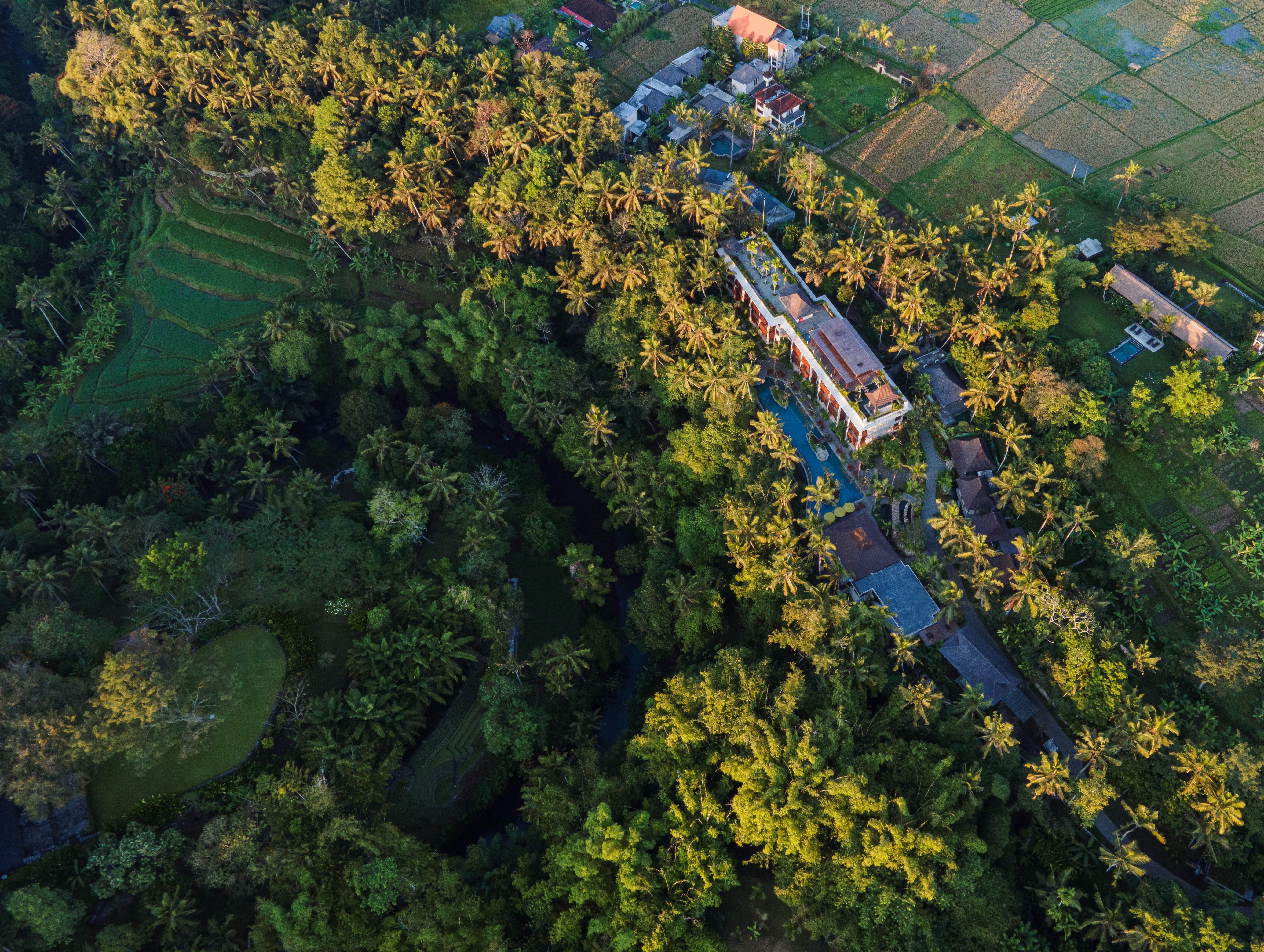 Arkamara Dijiwa Ubud 外观 照片